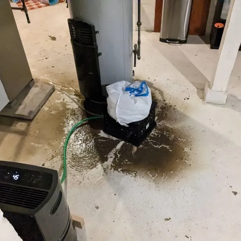 Sewage Backup Cleanup Service in Jal, NM